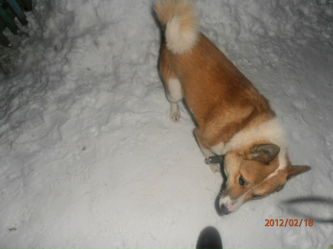 Сергей Козырёв | Москва