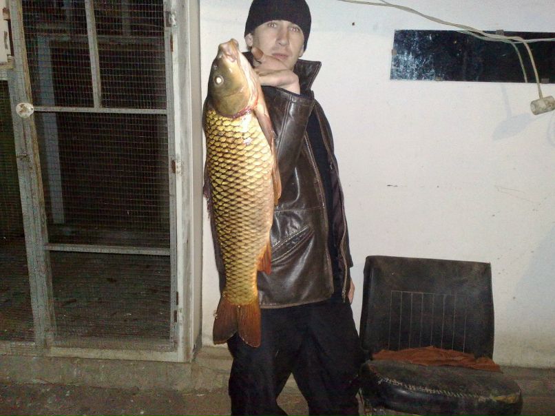 Виталий Охрименко ᅔ Mr.Green ᅕ | Дружковка