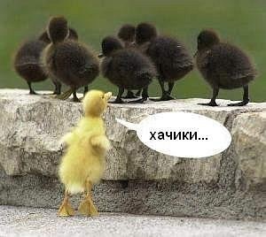 №70, Дима Кроленко, Москва №70, Дима Кроленко, Москва