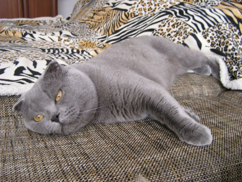 Алексей Скобочкин | Челябинск