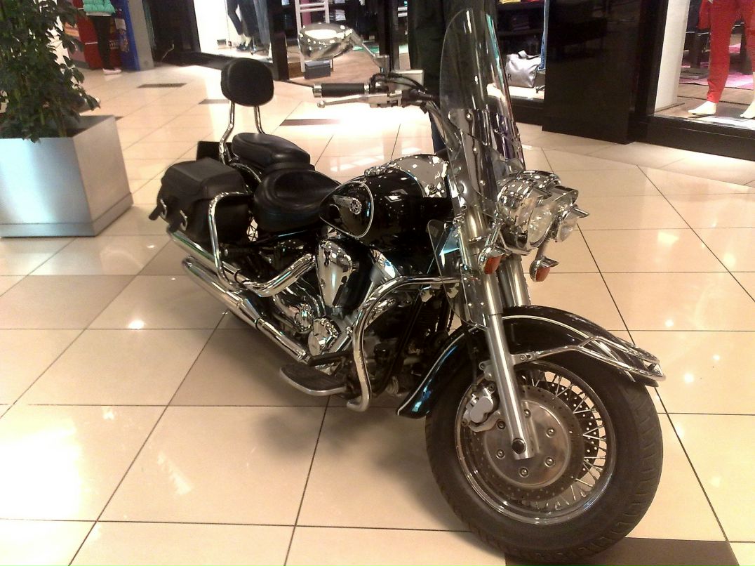 Артем Лепёхин | Воронеж