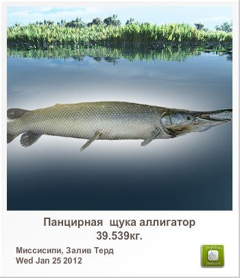 Гена Кармак | Запорожье