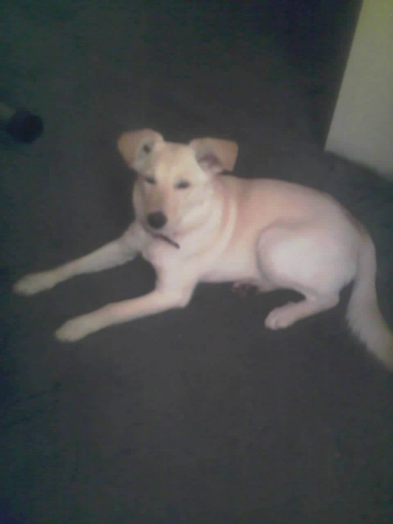 Татьяна Онопрейко | Санкт-Петербург