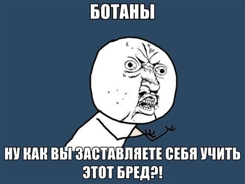 His Majesty Infernal | Киев