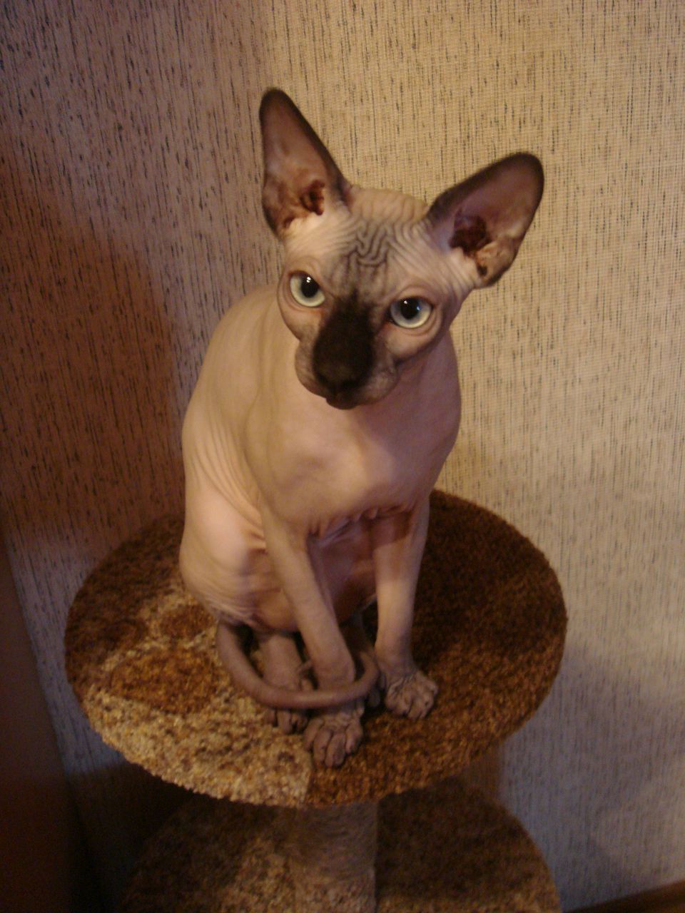 Маргарита Урывская | Воронеж