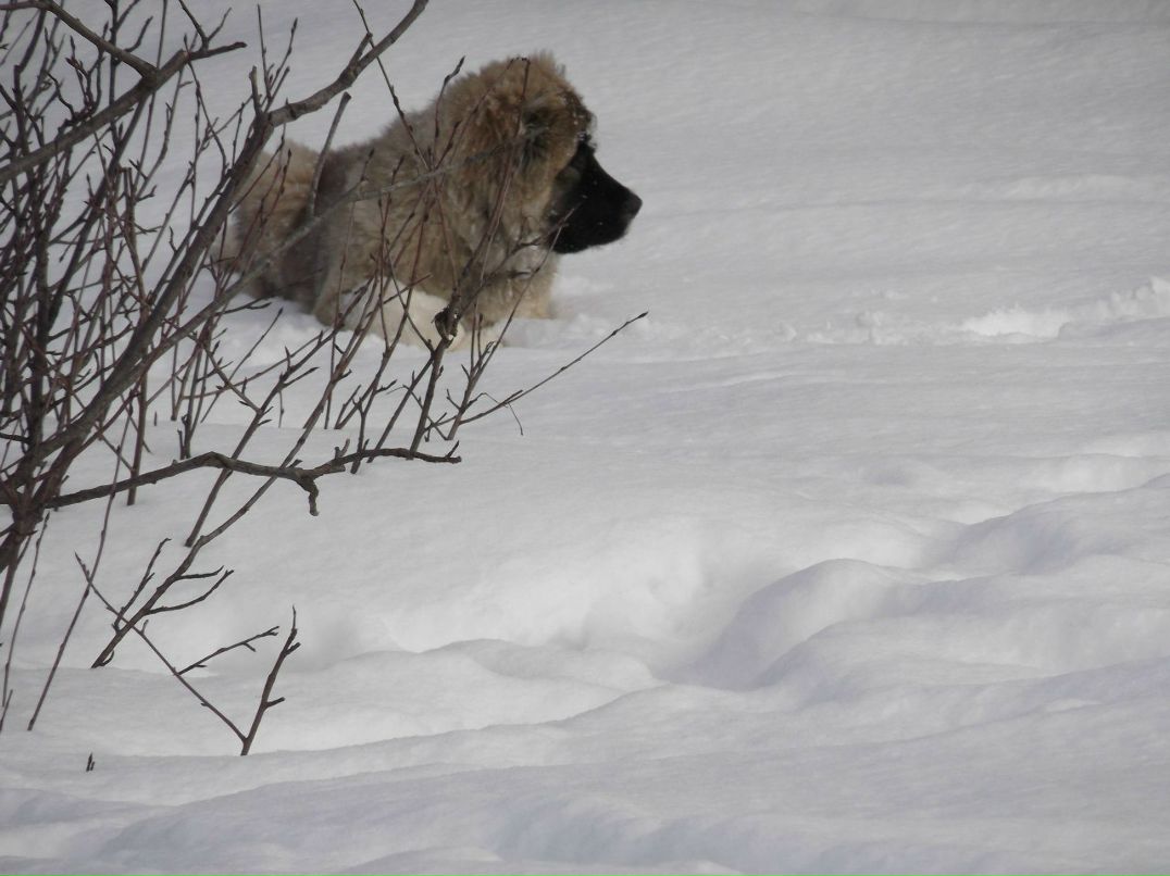Ольга Манасова Николаевна | Москва