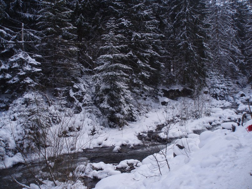 Ирина Липкань | Одесса