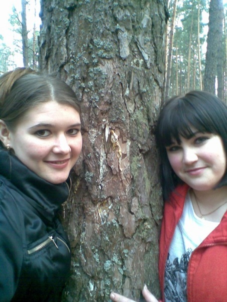 №177, Елена Приступа, Чернигов №177, Елена Приступа, Чернигов