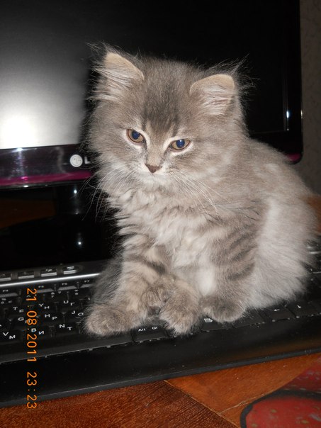 №10, Ксения Клюс, 33 года, Москва №10, Ксения Клюс, 33 года, Москва