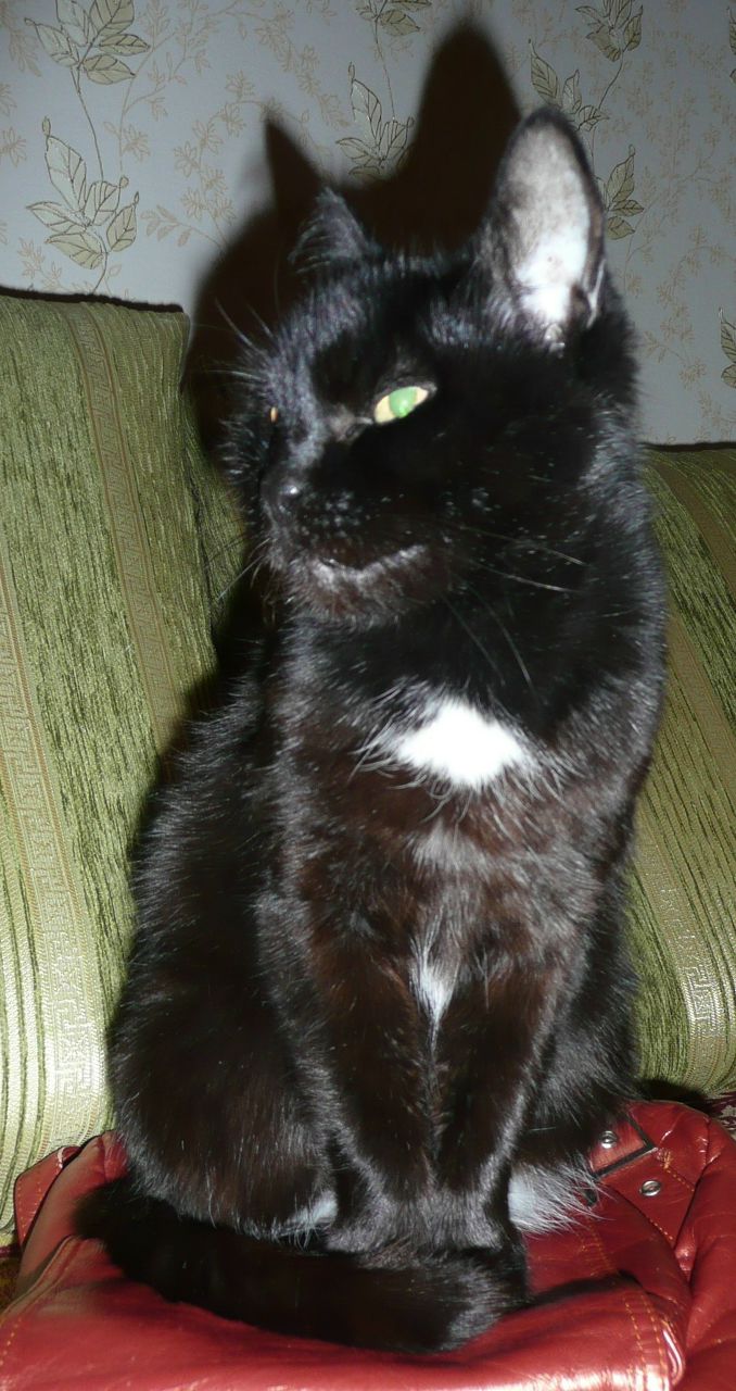 Анастасия Скляренко | Кременчуг