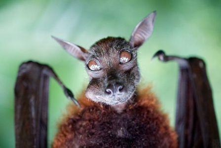 Дарья Серикова | Челябинск