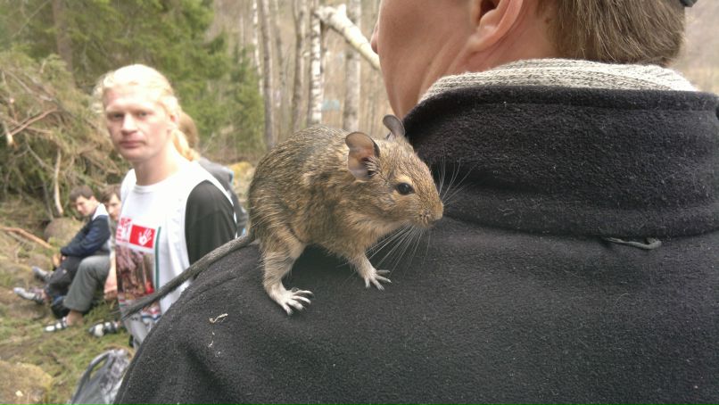 Алексей Круць | Санкт-Петербург