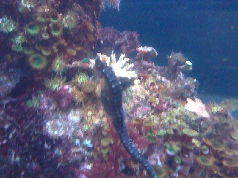 Татьяна Баранова | Санкт-Петербург