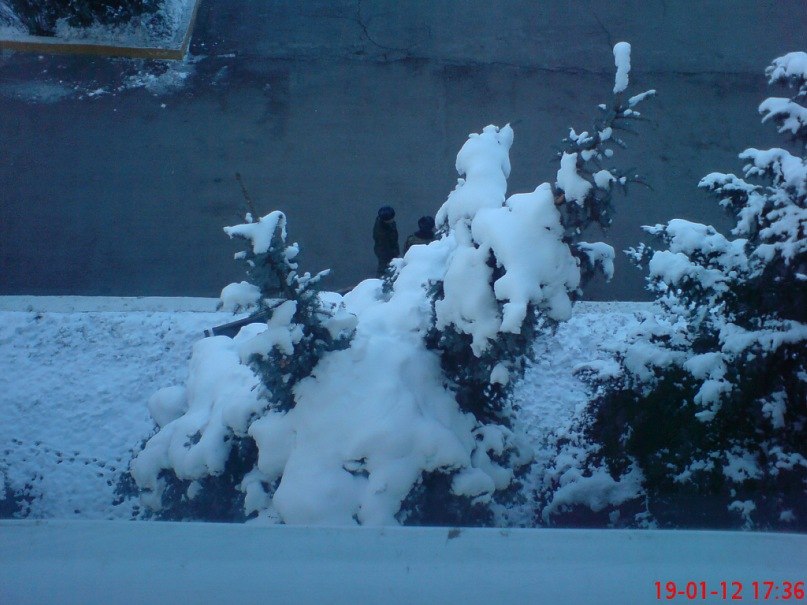 Артур Адамян | Ростов-на-Дону