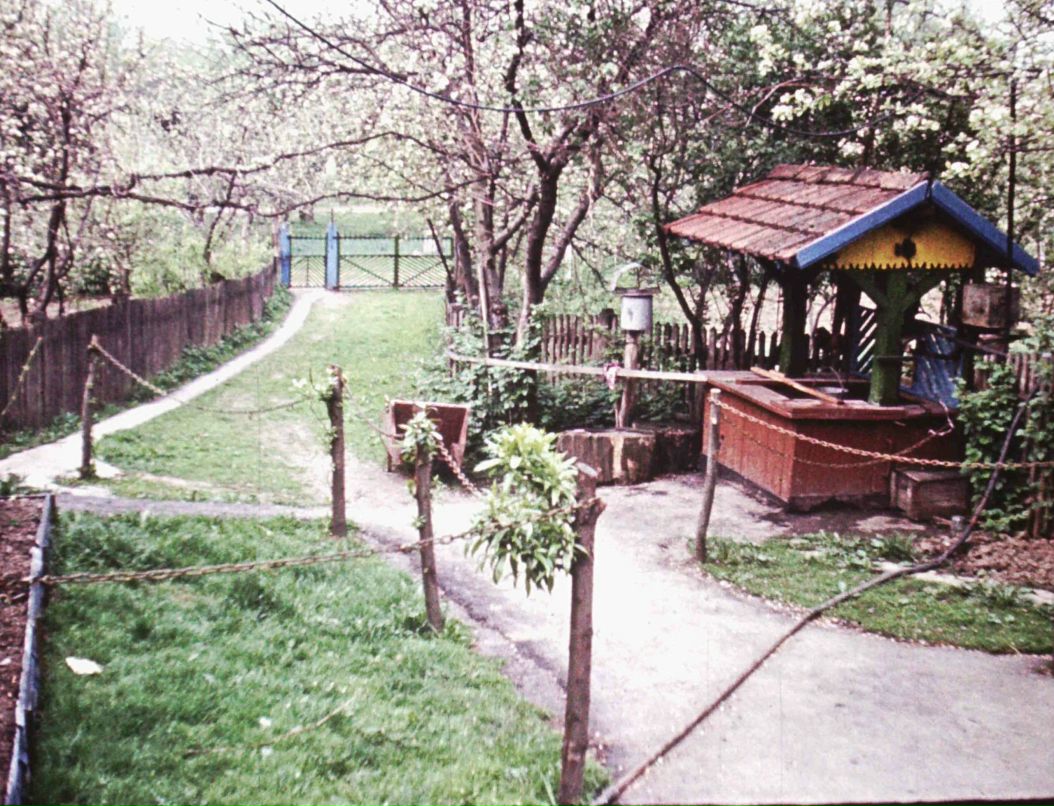 Славик Тарасюк | Черновцы