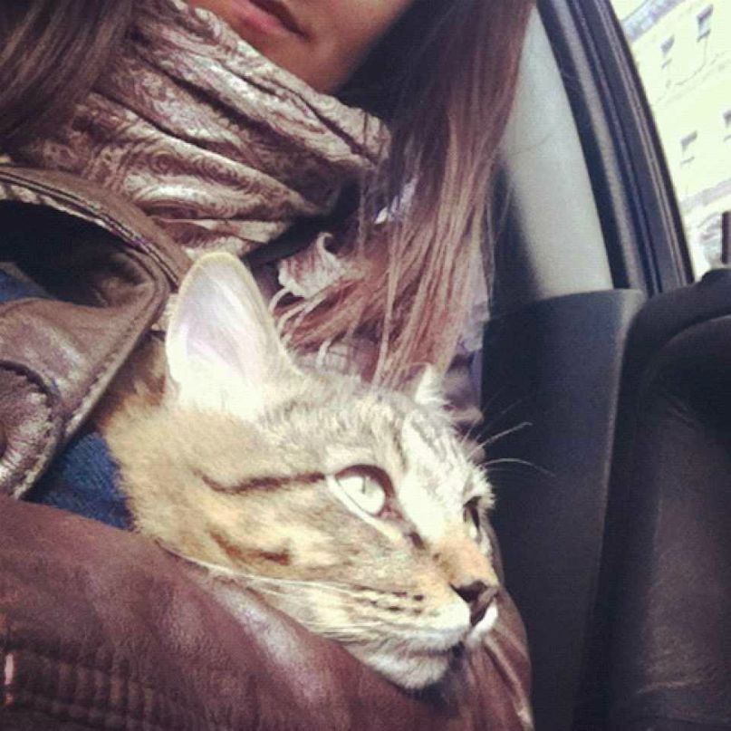 Катя Воробьёва | Санкт-Петербург