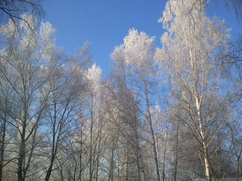 Ольга Федорова | Новосибирск