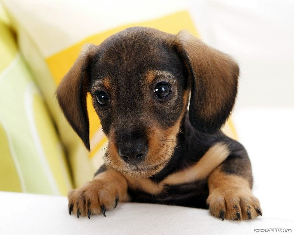 Евгений Кошелев Сергеевич | Энгельс