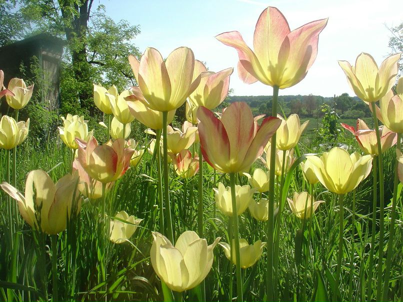 Ольга Клімачова | Киев