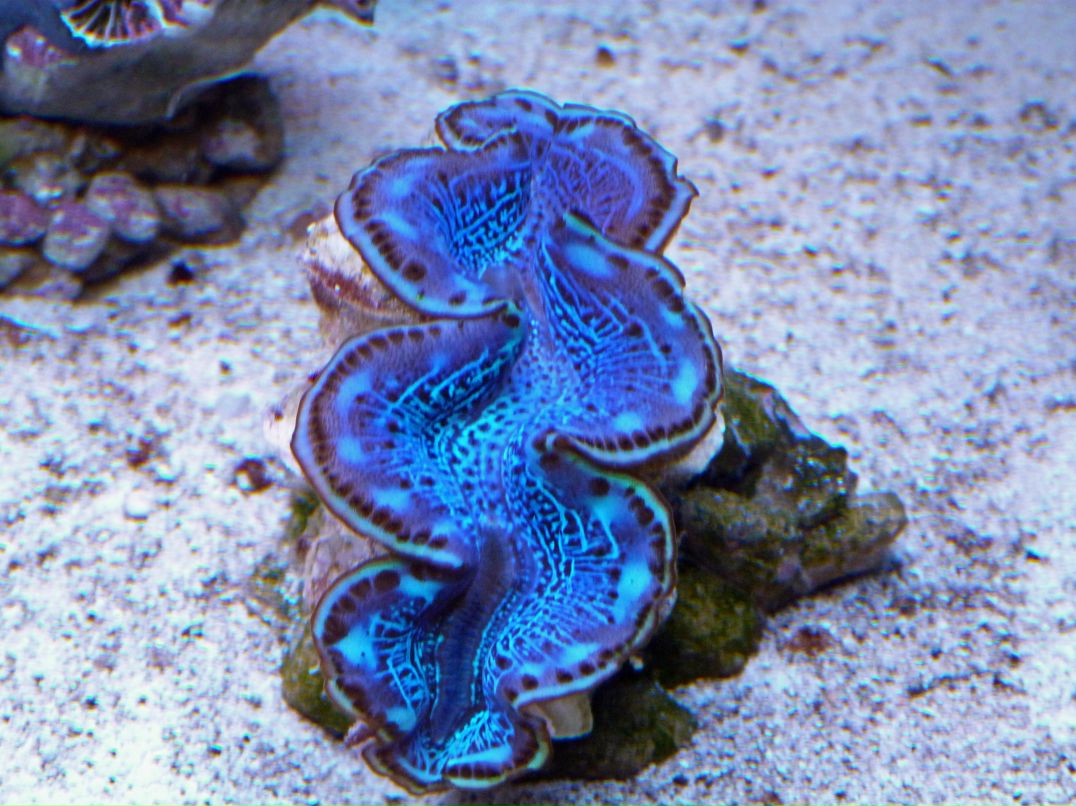 Павел Белявский | Санкт-Петербург