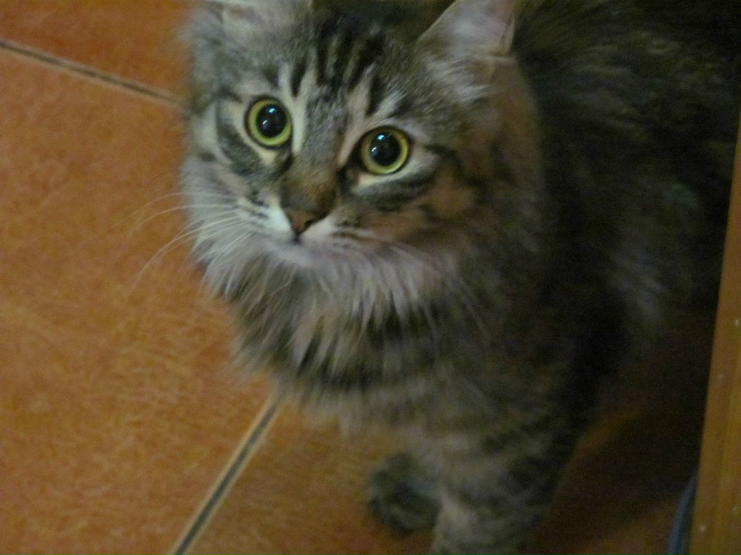 Наталья Смирнова | Санкт-Петербург