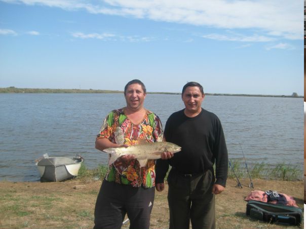 №95, Жорж Оглы, Мелитополь №95, Жорж Оглы, Мелитополь