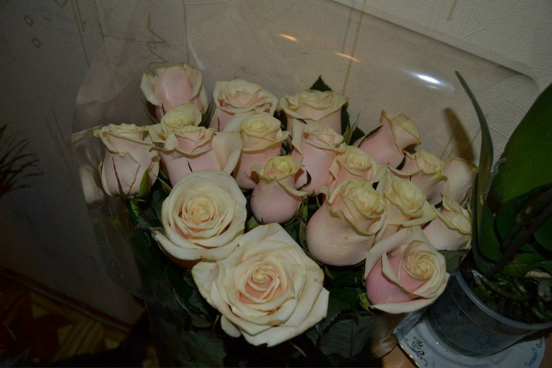 Машка Кравченко | Ростов-на-Дону