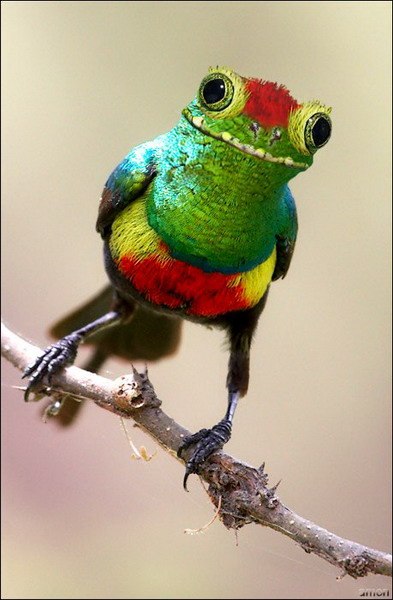 Екатерина Костюкова | Киев