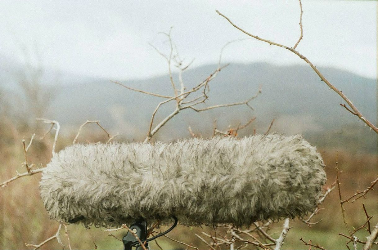 Серёжа Калугин | Мытищи