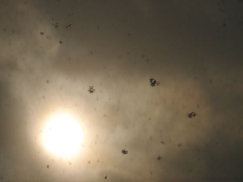 Анастасия Адаминди | Екатеринбург