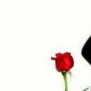 №186, Лильмо Хайбех, Луганск №186, Лильмо Хайбех, Луганск