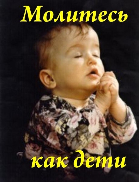 Владимир Швец | 