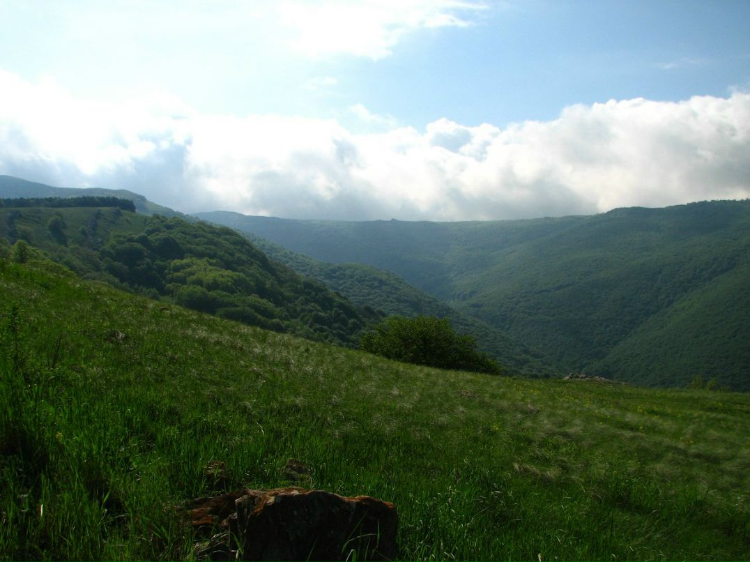 Артем Лапкин | Запорожье