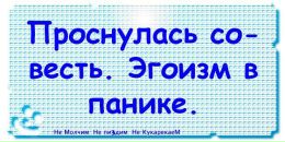 №8, Олька Давыдова, 19.3, Санкт-Петербург, Россия