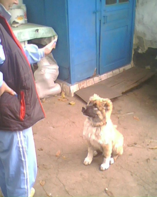 Brain Oconer | Днепр (Днепропетровск)