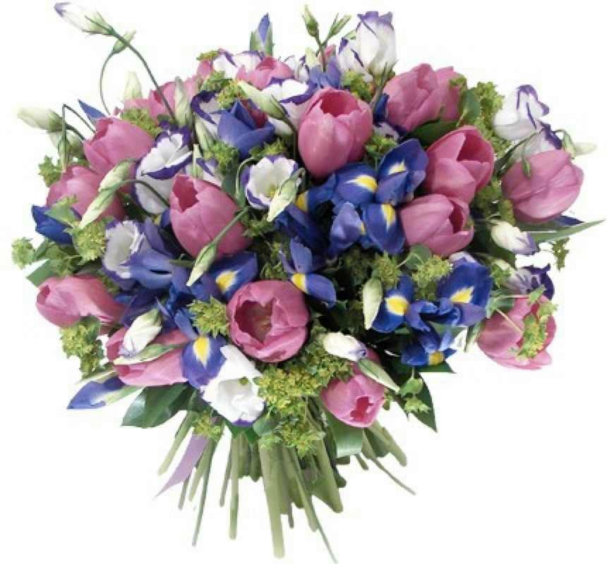 Оленька Ню | Москва