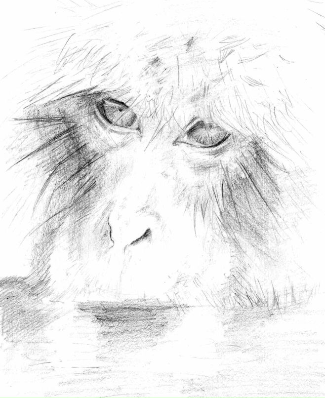 Настя Гоппа =>.<= | Каролино-Бугаз