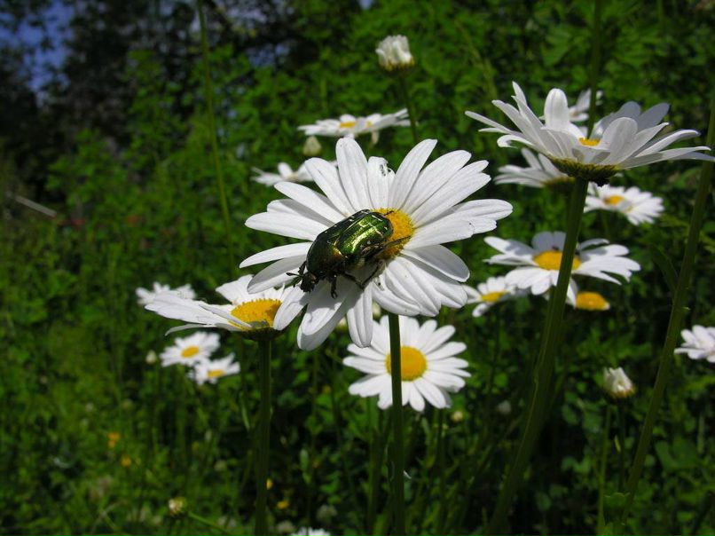 Наталья Ганиева | Tokyo