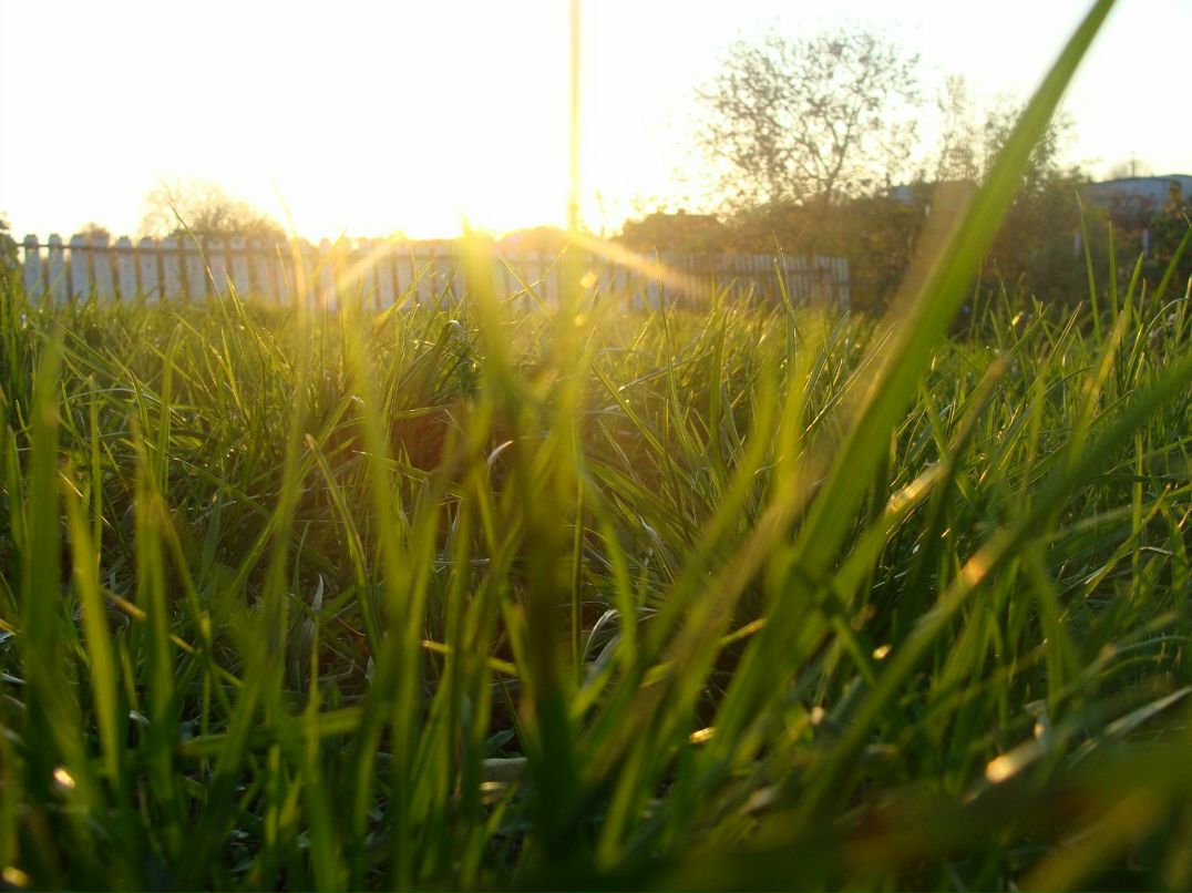 Альфия Билалова Фагильевна | Набережные Челны