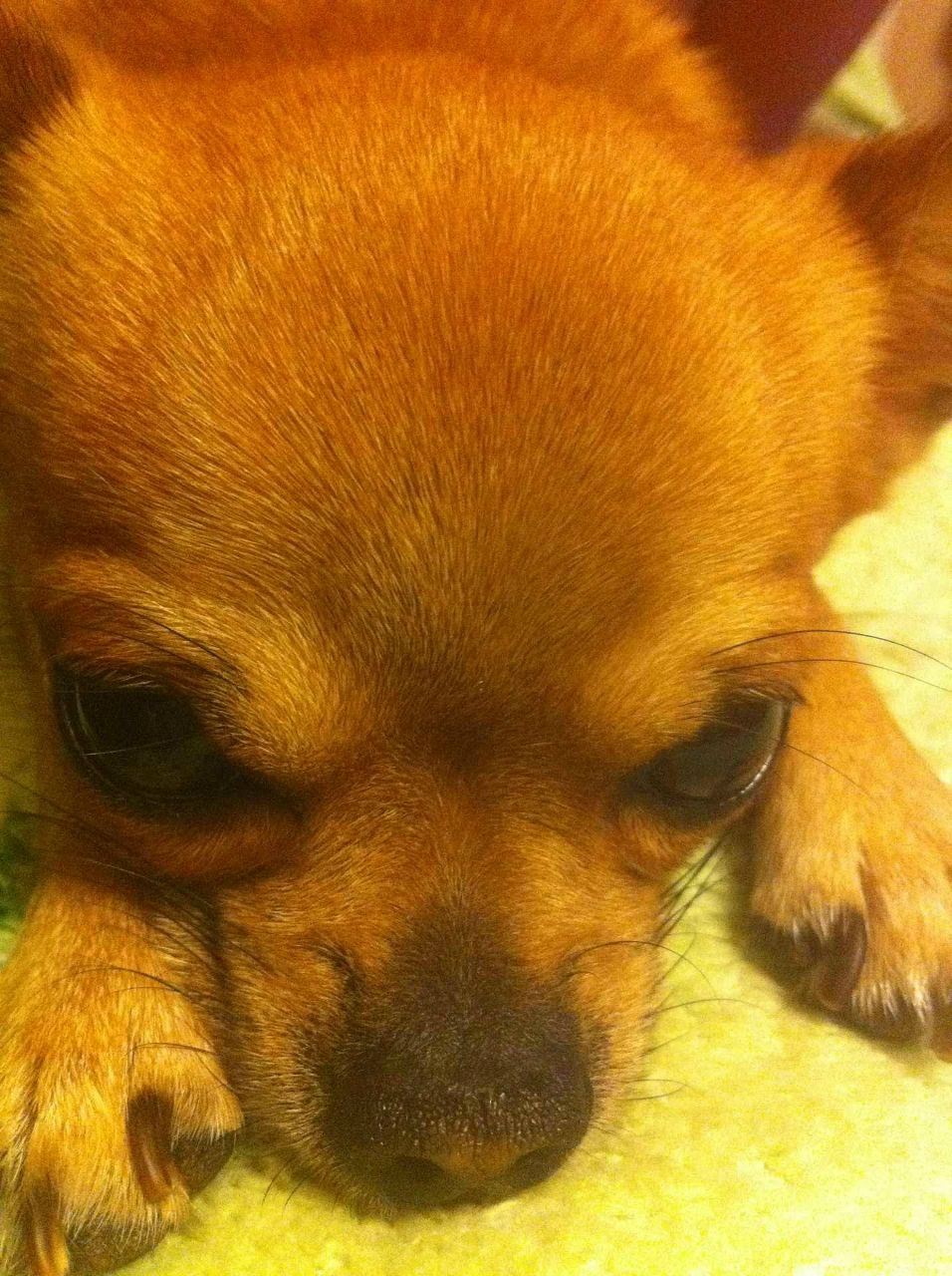 Лариса Зубкова | Москва