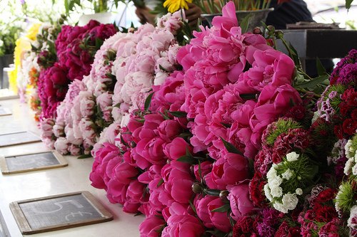 Светик Семицветик ♥_|lﻉ√٥|_♥ | Харьков