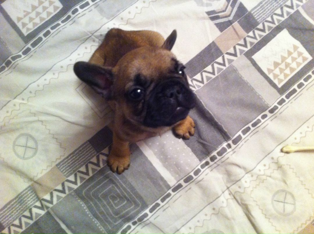 Юрка Барсуков | Москва