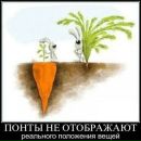 Фотография Анна Кобякова