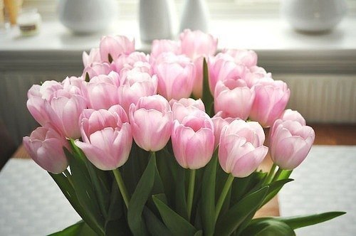 Даринка Бусол | Львов