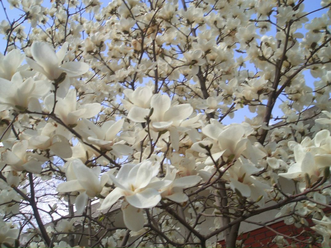 Ирочка Самойленко | Киев