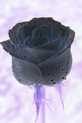 Макс Васильев | Жуковский