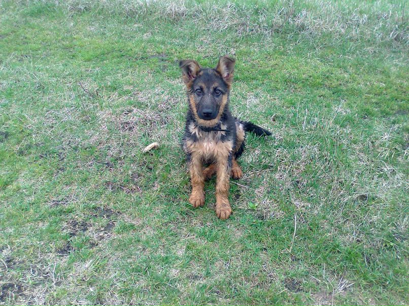 Сергій Шевчук | Збараж