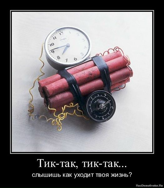 №7, Артур Волк, 33 года №7, Артур Волк, 33 года