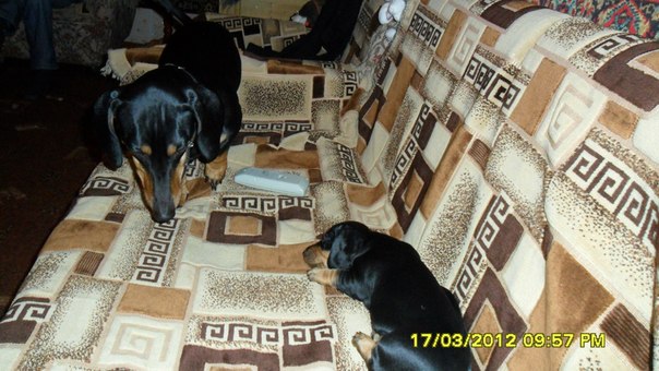 №157, Олеся Семакова, Северодвинск №157, Олеся Семакова, Северодвинск