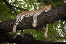 №10 Денис Кулько 26.12.1995: профиль, фото, статус - ВКонтакте №10 Денис Кулько 26.12.1995: профиль, фото, статус - ВКонтакте